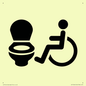 IV11044: I069 Accessible Toilet LtR
