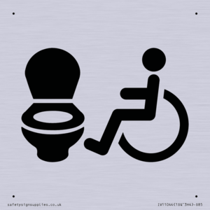 IV11044: I069 Accessible Toilet LtR