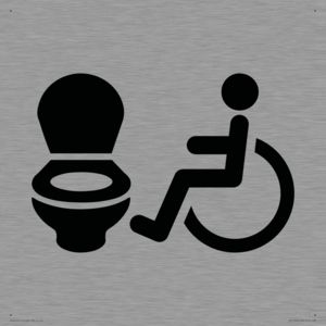 IV11044: I069 Accessible Toilet LtR
