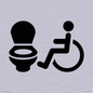 IV11044: I069 Accessible Toilet LtR