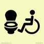 IV11044: I069 Accessible Toilet LtR