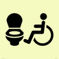 IV11044: I069 Accessible Toilet LtR