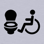 IV11044: I069 Accessible Toilet LtR