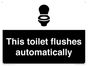 IV12128: This toilet flushes automatically