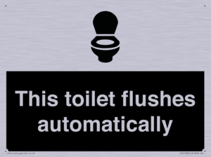 IV12128: This toilet flushes automatically