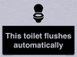IV12128: This toilet flushes automatically