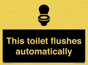 IV12128: This toilet flushes automatically
