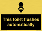 IV12128: This toilet flushes automatically