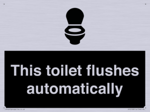 IV12128: This toilet flushes automatically