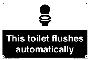 IV12128: This toilet flushes automatically