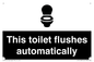 IV12128: This toilet flushes automatically