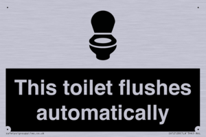 IV12128: This toilet flushes automatically