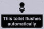 IV12128: This toilet flushes automatically