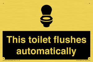 IV12128: This toilet flushes automatically