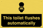 IV12128: This toilet flushes automatically