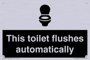 IV12128: This toilet flushes automatically