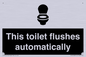 IV12128: This toilet flushes automatically