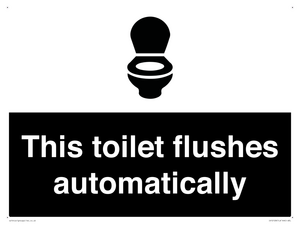 IV12128: This toilet flushes automatically