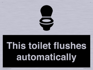 IV12128: This toilet flushes automatically