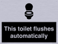 IV12128: This toilet flushes automatically