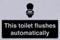 IV12128: This toilet flushes automatically