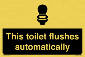 IV12128: This toilet flushes automatically