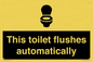 IV12128: This toilet flushes automatically