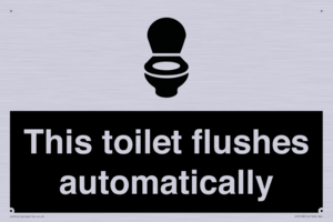 IV12128: This toilet flushes automatically