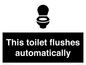 IV12128: This toilet flushes automatically