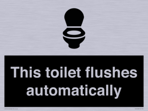 IV12128: This toilet flushes automatically