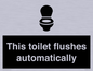 IV12128: This toilet flushes automatically