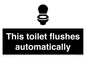 IV12128: This toilet flushes automatically