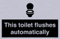IV12128: This toilet flushes automatically