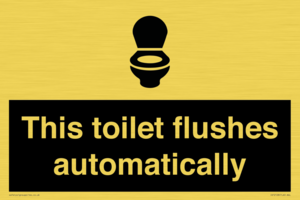 IV12128: This toilet flushes automatically