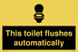 IV12128: This toilet flushes automatically