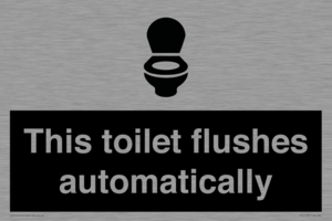 IV12128: This toilet flushes automatically