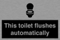 IV12128: This toilet flushes automatically