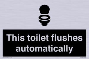 IV12128: This toilet flushes automatically