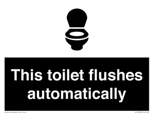 IV12128: This toilet flushes automatically
