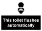 IV12128: This toilet flushes automatically