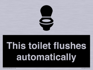 IV12128: This toilet flushes automatically