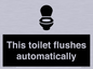 IV12128: This toilet flushes automatically