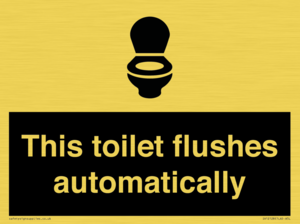 IV12128: This toilet flushes automatically
