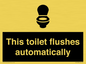 IV12128: This toilet flushes automatically