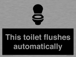 IV12128: This toilet flushes automatically