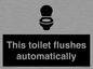 IV12128: This toilet flushes automatically