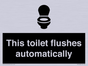 IV12128: This toilet flushes automatically