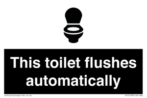 IV12128: This toilet flushes automatically