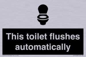 IV12128: This toilet flushes automatically