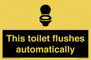 IV12128: This toilet flushes automatically